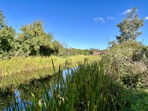 Canal- click for photo gallery